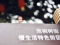 -泡桐树街