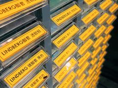 -大视光学•LINDBERG林德伯格•全球手工眼镜集合店(王府井店)