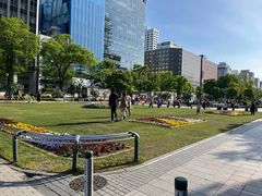 -大通公园
