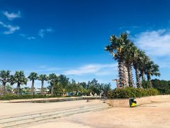 -亚龙湾中心广场