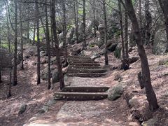 -府君山公园
