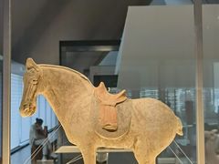 -四川大学博物馆