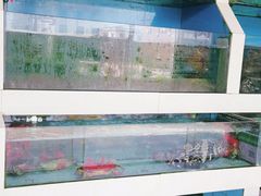 水产区-原龙海鲜大排档(美食地标店)