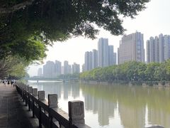 -光明港公园