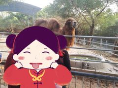 -广东茂名森林公园