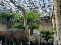 -国家自然博物馆