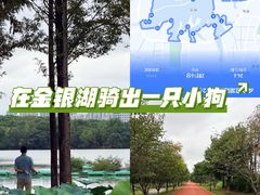 -金银湖国家城市湿地公园