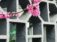 -莫愁湖公园