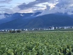 -鱼你在一起(福田安吉尔店)