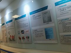 -上海市东方医院(总院)