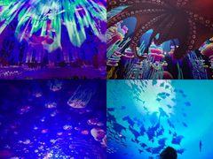 -南戴河国际娱乐中心