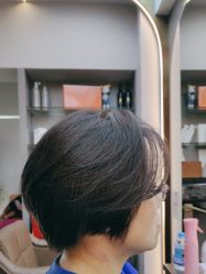 -MY女士男士短发设计