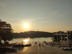 -东莞植物园