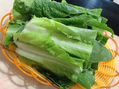 -蘑统田下·野生菌火锅