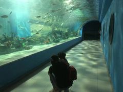 -常州海昌海洋探索馆