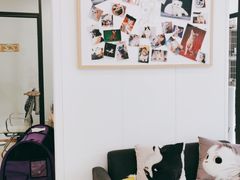 -萌兽医馆·眼科·异宠专科(三里屯店)