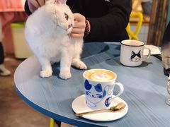 -喵屿·大理花园猫咖