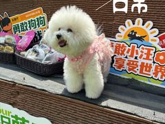 -天津万象城