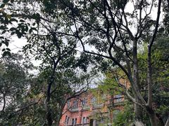 -上海佘山国家森林公园西佘山园