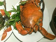 -越海渔村