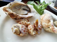 -白天鹅宾馆·流浮阁咖啡厅