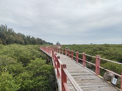 -北海金海湾红树林生态旅游区