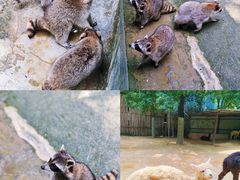 -杭州野生动物世界