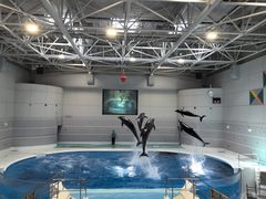 -鹿儿岛水族馆