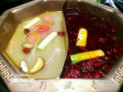 -捞王猪肚鸡火锅(昆山店)