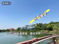 -大塘金香草谷