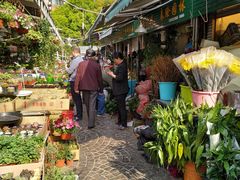 -曲阳花鸟市场(曲阳路店)