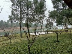-山湖温泉