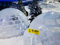 -杭州少年儿童公园