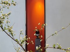 -许家菜.艺创菜(仁和新城店)