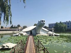 -东方巨龟苑景区