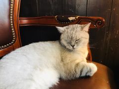 -不舍昼夜咖啡馆