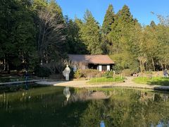 -庐山风景区花径公园