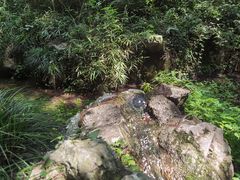 -杭州花家山庄