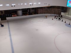 -TheRink大零溜冰场(IFS国金中心店)