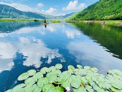 -腾冲北海湿地