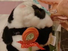 -美食小镇·观赏珍稀鸟类·长隆熊猫酒店
