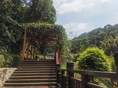 -天鹿湖森林公园