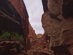-天山神秘大峡谷