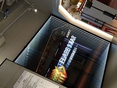 -FLARE STAR FITNESS(复地活力城店)