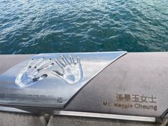 -星光大道