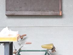 -猫里有甜