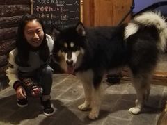 -浔岚云舍mist静谧观景美宿(丽江古城店)