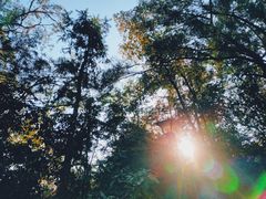 -南国桃园旅游度假区