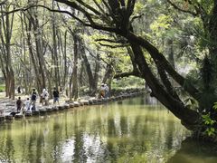 -西溪南古村落景区