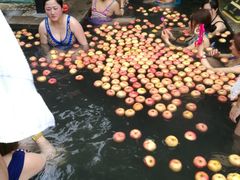 -深业半汤御泉庄温泉